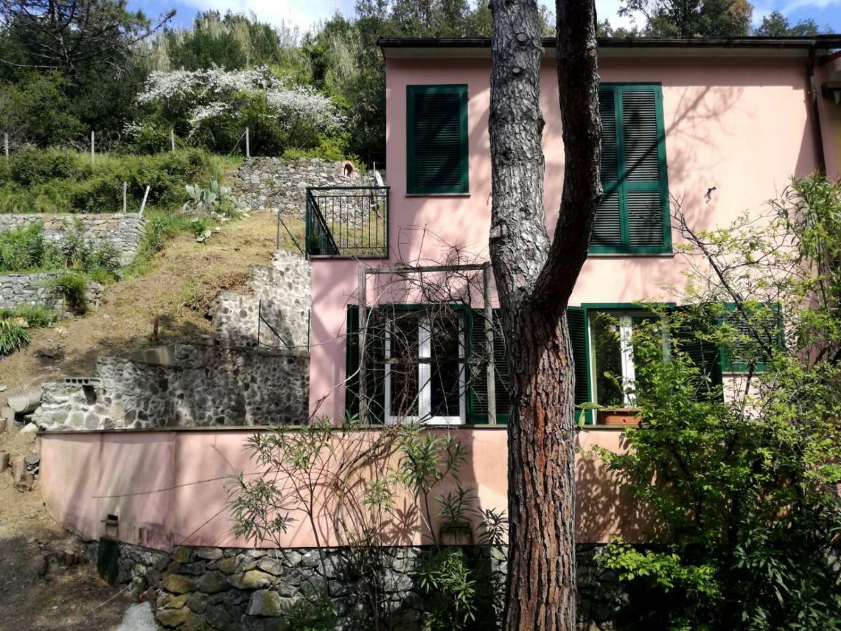 Terrace & Parking - Holiday Home Near Fegina Beach Monterosso al Mare Zewnętrze zdjęcie